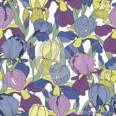 Seamless pattern with iris flowers Vector Illustration